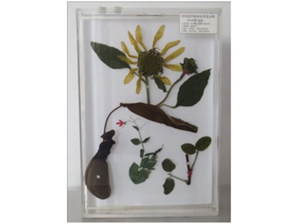 ??-è?ˉ???????μ???2? ????